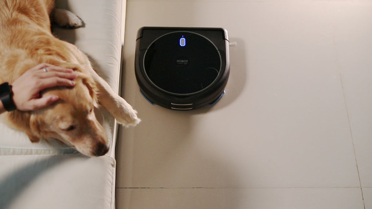 LEGEE-688 beside a dog on a tiled floor