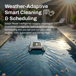 Betta Neo weather-adaptive cleaning and scheduling